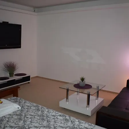 Apartment Grand V Centru