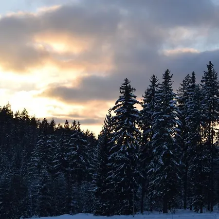 Appartamento Grand V Centru Harrachov