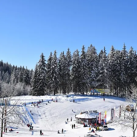 Apartment Grand V Centru Harrachov