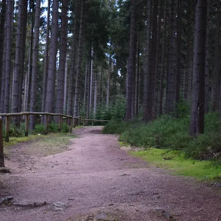 Daire Grand V Centru Harrachov