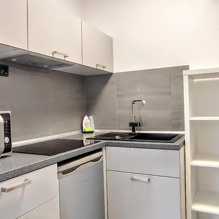 Apartment Grand V Centru