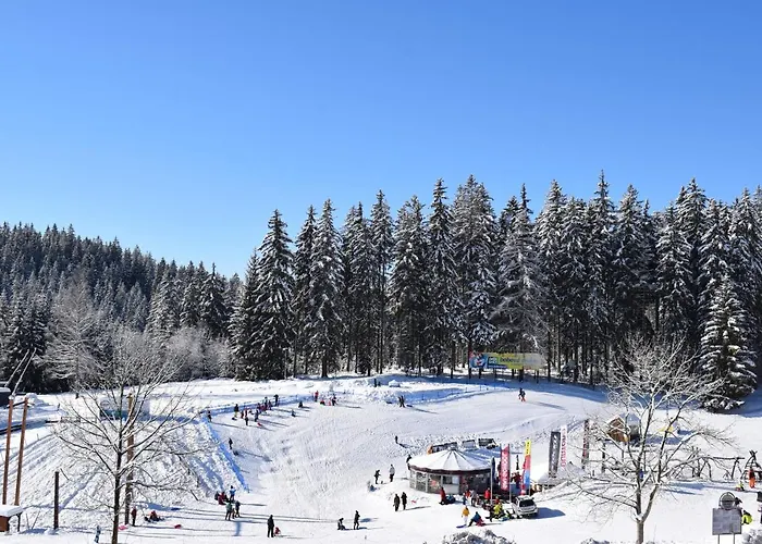 Διαμέρισμα Grand V Centru Harrachov