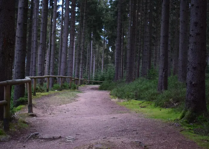 Lägenhet Grand V Centru Harrachov