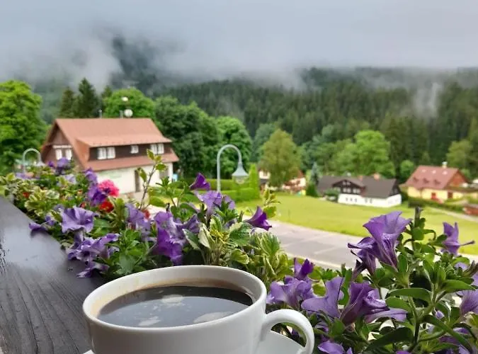 Grand V Centru Lägenhet Harrachov